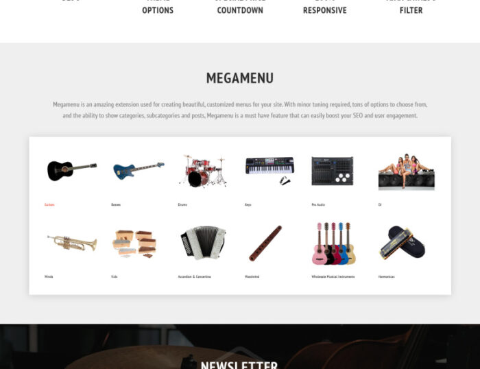 SoundBizarre - Tema Magento Toko Musik - Fitur Gambar 3