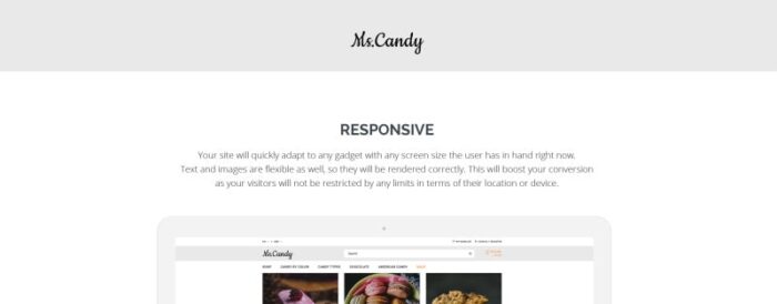 Template OpenCart Responsif Sweet Shop - Fitur Gambar 1