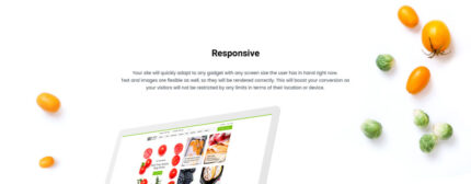 Toko Makanan - Template OpenCart Responsif - Fitur Gambar 1