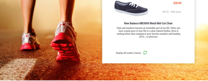 Hamintec 2 - Tema PrestaShop Toko Sepatu Kets - Fitur Gambar 9