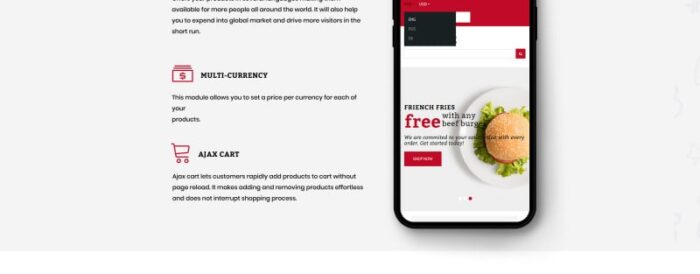 KingBurg - Template Burger OpenCart - Fitur Gambar 5