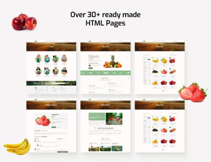 Petani - Template Situs Web HTML5 Pertanian Organik - Fitur Gambar 4