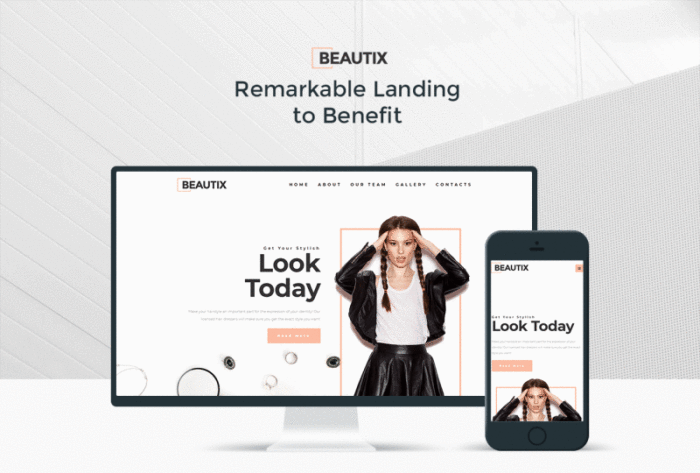 Beautix - Template Halaman Arahan WordPress Beauty Elementor - Fitur Gambar 1