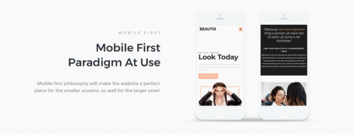 Beautix - Template Halaman Arahan WordPress Beauty Elementor - Fitur Gambar 4