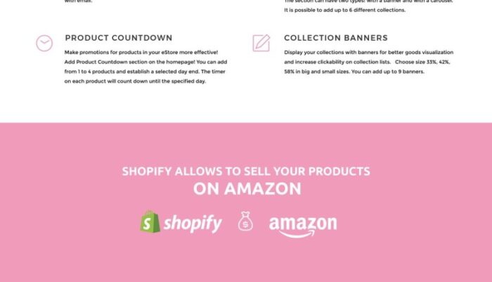 Tema Shopify Responsif BeautyShop - Fitur Gambar 11