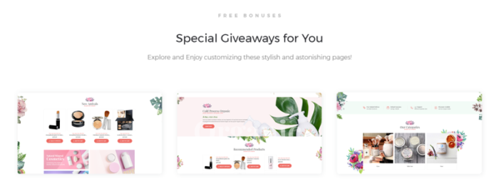 Cosmolove - Tema Elementor WooCommerce Toko Kosmetik - Fitur Gambar 2