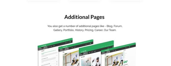 Template Joomla Siap Pakai untuk Situs Web Tim Hoki Big Game - Fitur Gambar 4