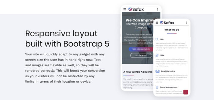 Sefax - Template HTML5 SEO & Pemasaran Digital - Fitur Gambar 5