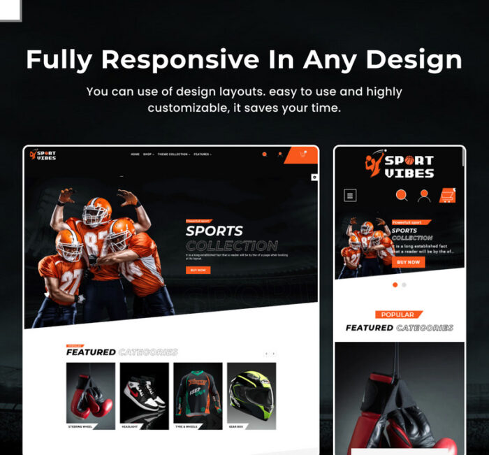 Sport Vibes - Mega Sports Shopify 2.0 Tema Responsif Premium - Fitur Gambar 5