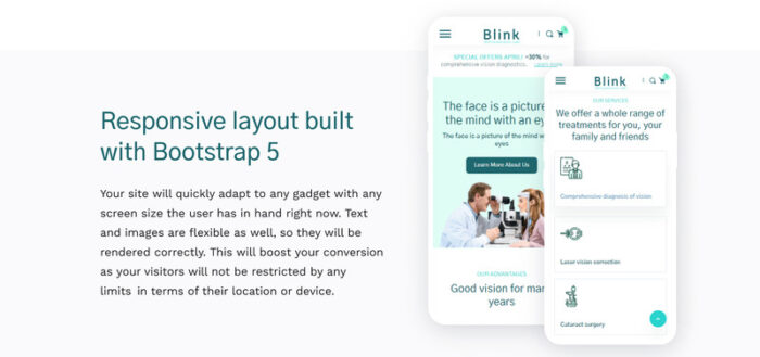 Blink - Template Toko HTML5 Kacamata - Fitur Gambar 5