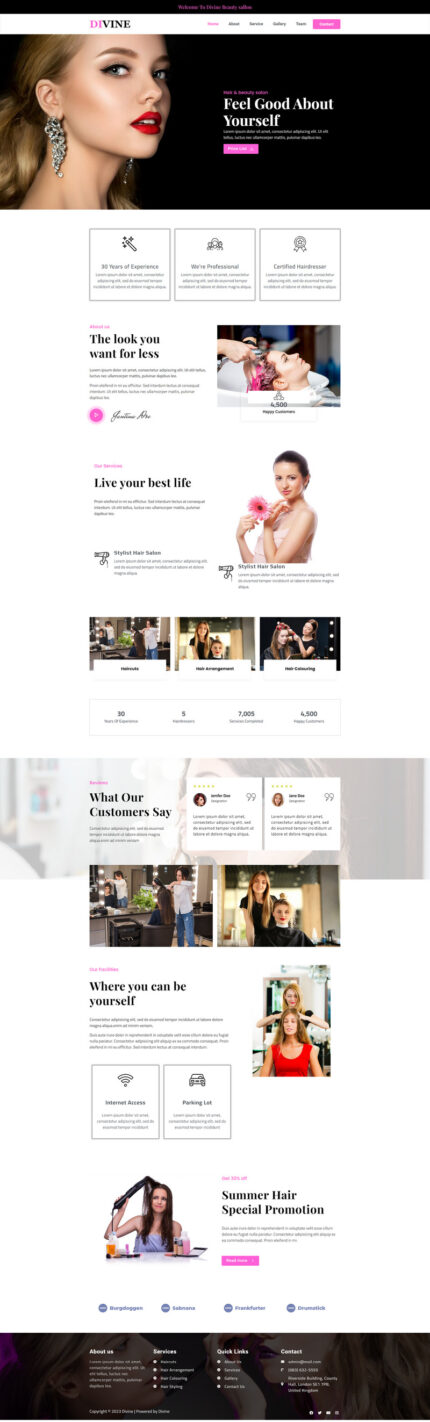 Divine Hair And Beauty Salon- Tema Wordpress - Fitur Gambar 1