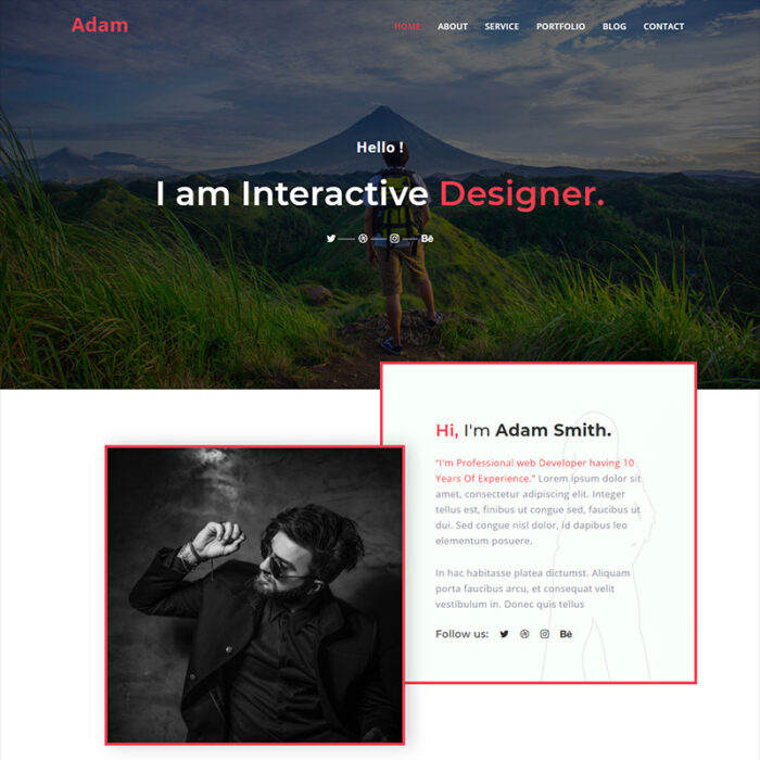 Template Halaman Arahan HTML5 Portofolio Pribadi Adam - Fitur Gambar 1