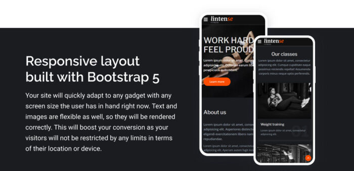 Lintense - Template Halaman Arahan HTML5 Pusat Kebugaran - Fitur Gambar 6