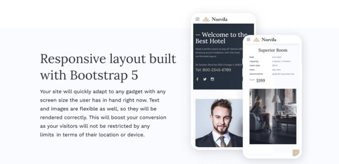 Norvila - Template Situs Web HTML5 Hotel Mewah - Fitur Gambar 5