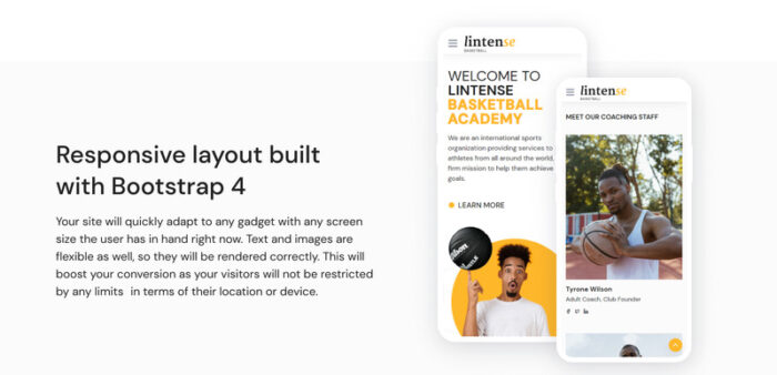 Lintense - Template Halaman Arahan HTML5 Klub Bola Basket - Fitur Gambar 6