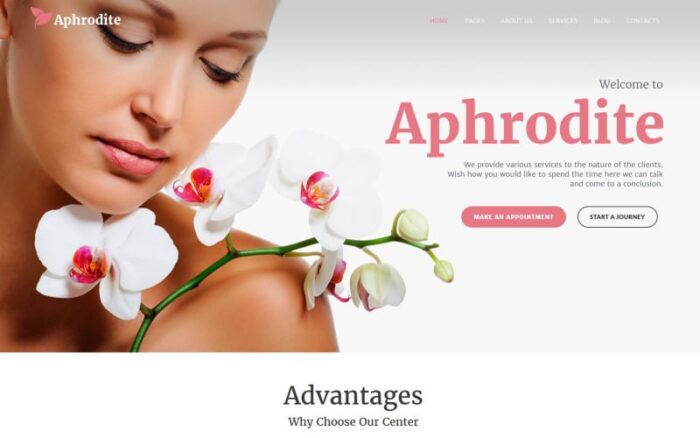 Aphrodite - Tema WordPress Responsif Salon Kecantikan & SPA