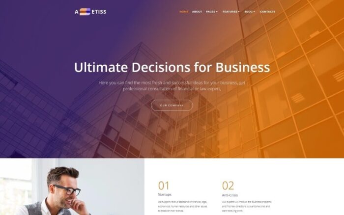 Assetiss - Tema WordPress Elementor Penasihat Bisnis Modern