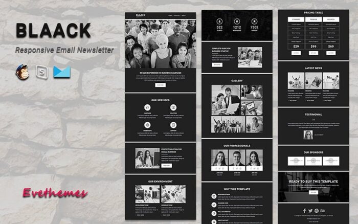 Blaack - Responsive Email Newsletter Template