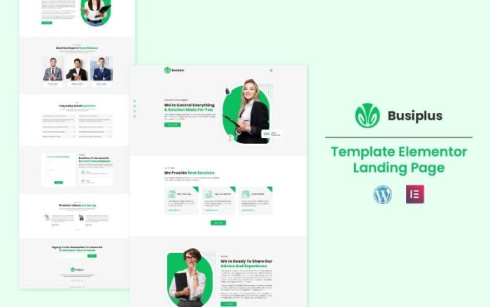 Busiplus  - Business Solution Elementor Landing Page