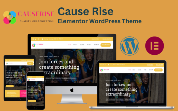 Cause Rise- Tema WordPress Elementor untuk Amal & Donasi