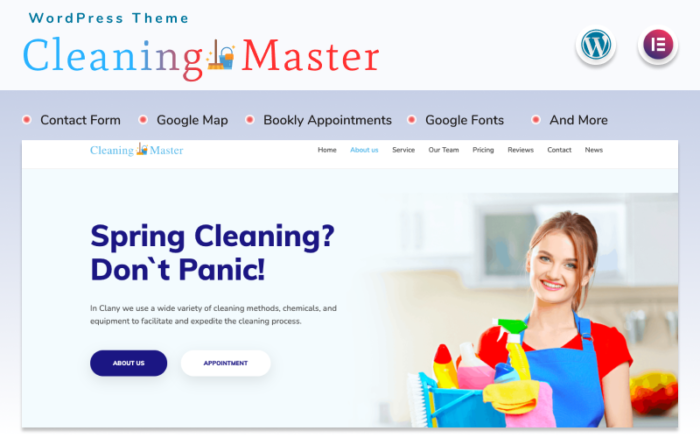 Cleaning Master - Halaman arahan dengan Tema Blog WordPress