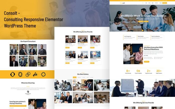 Consolt - Tema WordPress Elementor Responsif Konsultasi