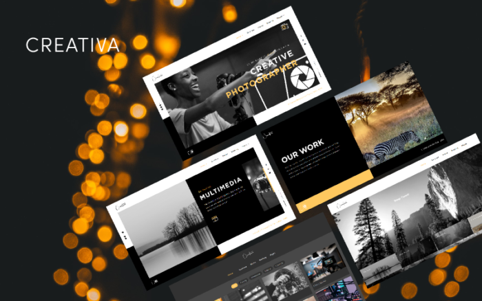 Tema WordPress Fotografi Cretiva