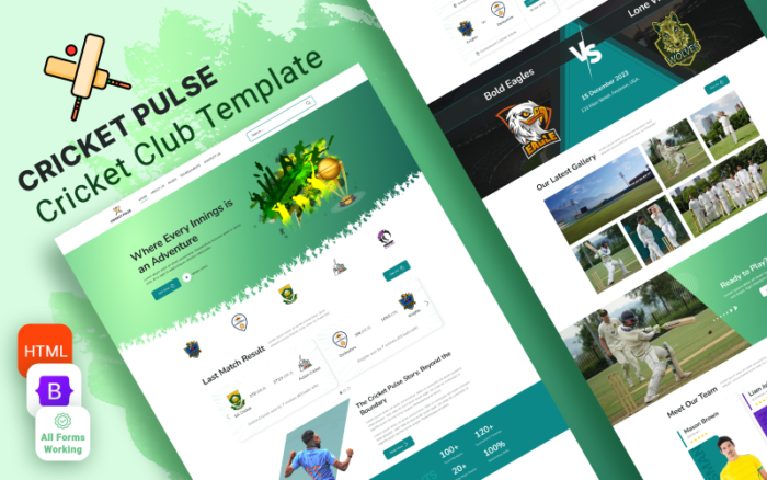 Cricket Pulse - Ultimate Sports Club, Template Situs Web HTML5 Kriket