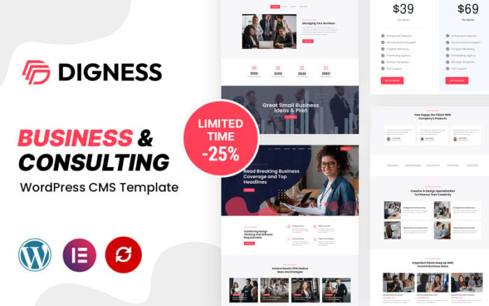 Digness - Tema WordPress Bisnis Konsultasi