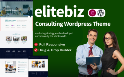 tema wordpress konsultasi bisnis elitebiz