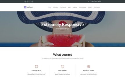 Exellent - Startup with Built-In Novi Builder Landing Page Template