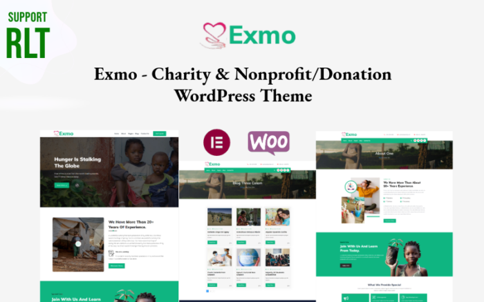 Exmo - Tema WordPress Amal & Nirlaba/Donasi