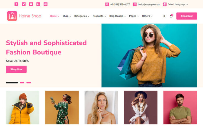 Haine - Toko eCommerce untuk Fashion, Pakaian, dan Toko Online Tema WordPress WooCommerce Elementor - Fitur Gambar 2