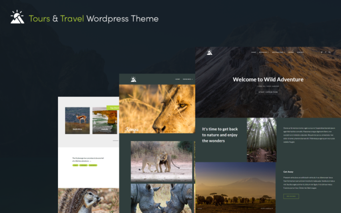 Gravity Traveler Wordpress Theme