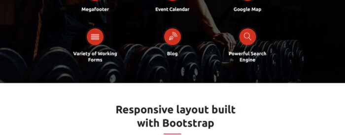 Gym - Template Situs Web Responsif Kebugaran & Gym - Fitur Gambar 5