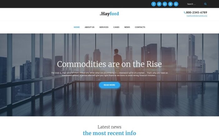 Hayford - Tema WordPress Responsif Layanan Konsultasi Investasi