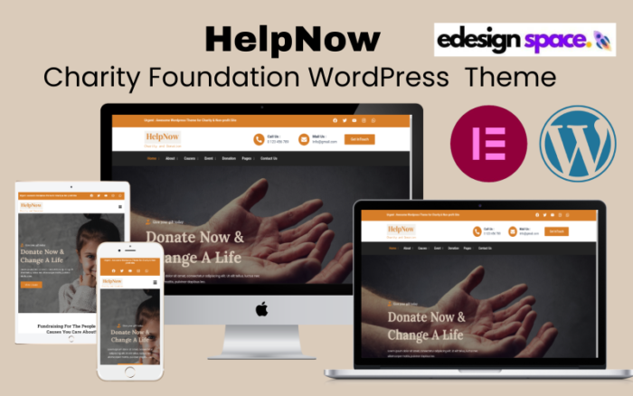 HelpNow  - Charity Foundation and Donation WordPress Elementor Theme