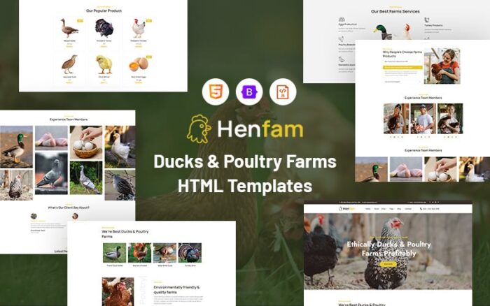 Henfam – Template Situs Web Peternakan Bebek & Unggas