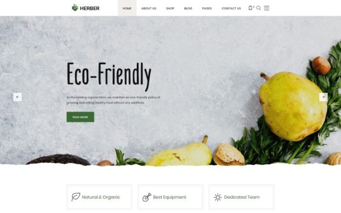 Herber - Template Situs Web Toko Makanan Organik Online yang Akurat