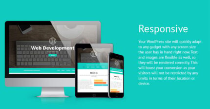 Pengembangan Web & Periklanan - Template Situs Web Responsif Pengembangan Web - Fitur Gambar 1