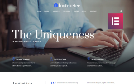 Instructee - Consulting Services WordPress Elementor Theme