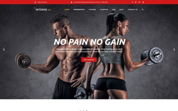 Template Situs Web Intense Gym