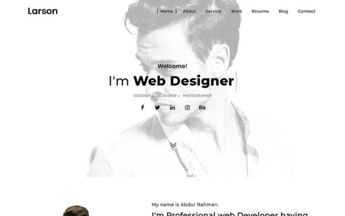 Larson - Template Halaman Arahan HTML Portofolio Minimal