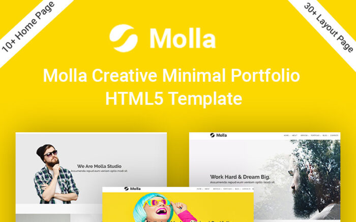 Templat Situs Web HTML5 Portofolio Minimal Kreatif Molla