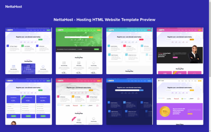 NettaHost : Website Domain And Hosting  Bootstrap Responsive HTML Template