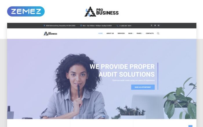 proBusiness - Template Situs Web HTML Multihalaman Perusahaan Audit yang Elegan