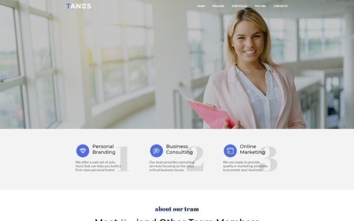 Tanos - Template Halaman Arahan HTML Responsif Bisnis