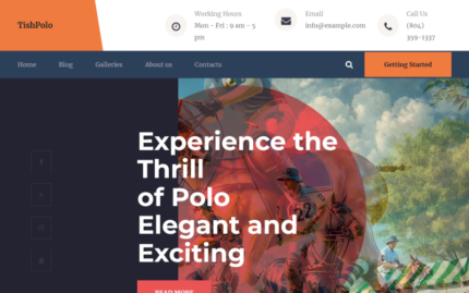 TishPolo - Polo WordPress Theme