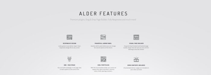 Alder - Tema WordPress OnePage Modern - Fitur Gambar 6