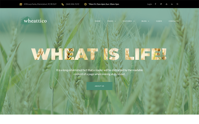 Wheattico - Tema WordPress Responsif Pertanian Tanaman